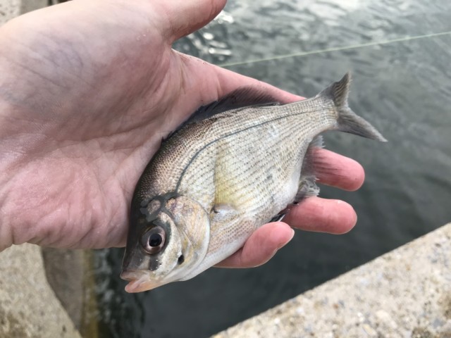 HDxXcnZFxXqNHGMi9xIFywRikzmJD4yLzbl3Ztqc8cJrZL6imakxQRnf6zA__bzOJBcglJM3wJMc0dtk-9RX2y0DG6qpFrHBbr20iZY8Vbg1HcZrCLpuGMoJKdtLcciQ