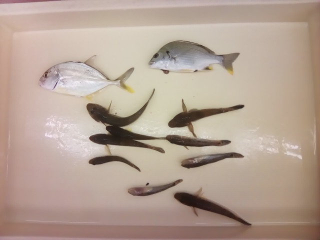 大漁スタンプラリー本日2件目頂きました！！