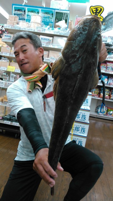 デカマゴチ炸裂！！フラットフィッシュが止まらない！サビキ釣りも好調です♪