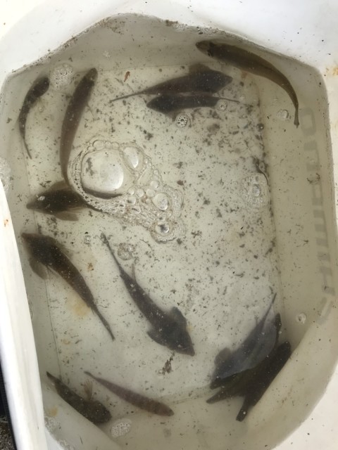 ZxE5X0ZC5fWkkoodopD1IaOc49yP92pyj6LpHClau1dop1qZfPHLAcAEmkpHSlT_kIZBi5MeAoLBg-g4mb9fhH2BIaOhfLISJPO10yHAO8OiUxQolU-MLfeJQcFR8phJ