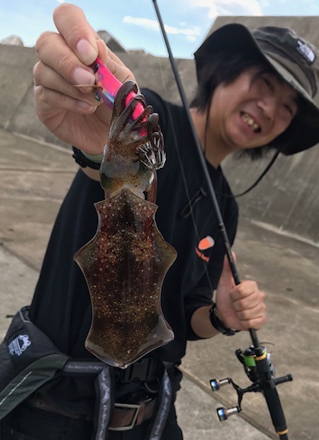 ☆秋爆☆　アオリ70杯　アジ・ロック多数