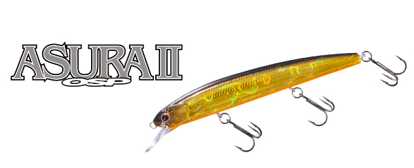 入荷しました！！