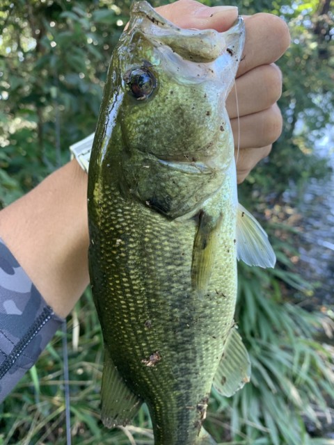 c155ed66-b08c-4792-9e67-ff0813c46c27