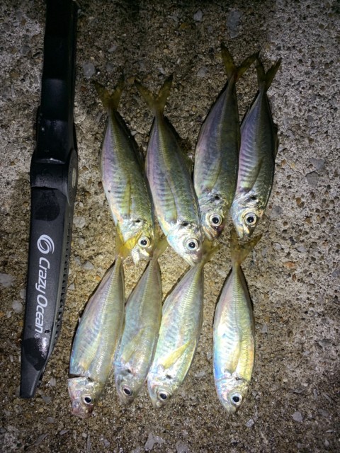 da9gNrTYbVK2byqO0kXsjZ3OwxCwkHNHOPUD8hsaHcofx-2ttmm36SsKkhhrqEHkyKm2ldgXUuuWYGS6lxoOj_Zowkjjjwtt7qbSREASDvMWXc9fxU8LVbTRlBNwMuf0