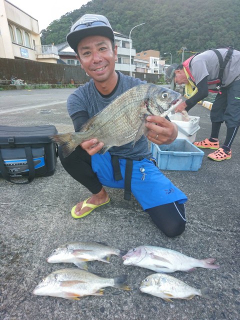 db636fa1-0ecd-43d1-962a-549afa4f38d3