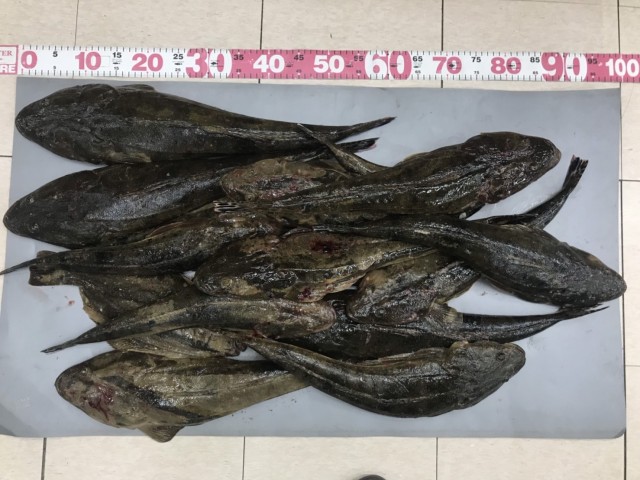 ebce0020-c78c-4991-89ea-9b8304dc4920