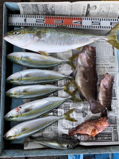 kls6MFnV98TB7KKKw3rFnQepFacfpYMNCqYvEET-qndG4zB0c7ui_fSLS1VV6uZSMy58Mid6-s3JYnSC7FqP3zIZVr4T4FCpiJQdmcWdowdaHnbOf6kz5RMNHb7nknQe