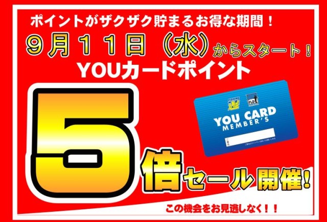 明日（11日）からスタート！ポイント5倍セール！！