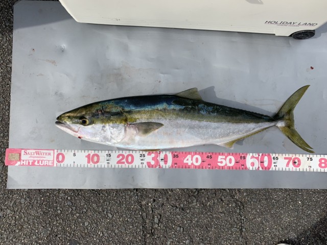 0bc5b6af-ef0a-4263-98f0-d3e5a625912e