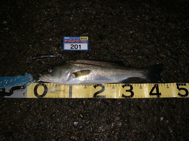 10.3№201ヒロヤス様