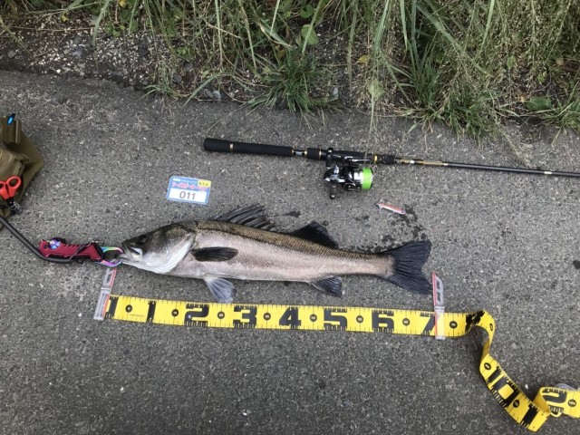 10.5№11水ターニー様