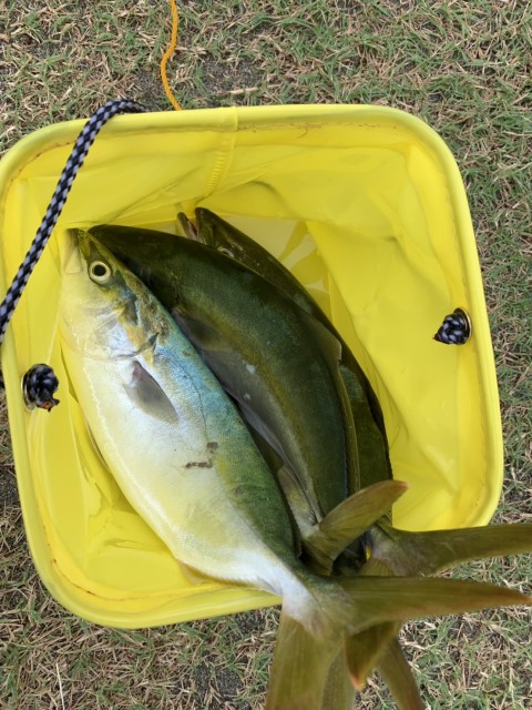 176d95cf-3656-485d-accf-862455faeb0a