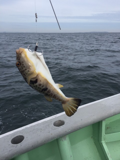 3EoLPret1p2xB5eiKVfMh5Y4T3A-UsEHcS8egtLZw1idAQcLuHxWY-fJCzpFKDblALaZ1w2y76k3J5ztTGDlVek2afa0mmnjybvqYgJY7u9OvDM6Ag-IvKtekIud-qyk