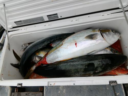 56_47373_20191008151919_1