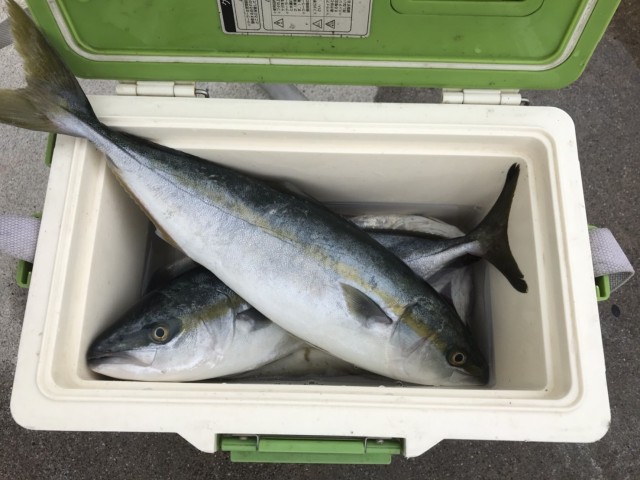 7b4844d2-4df7-4472-8a42-0920203c7112