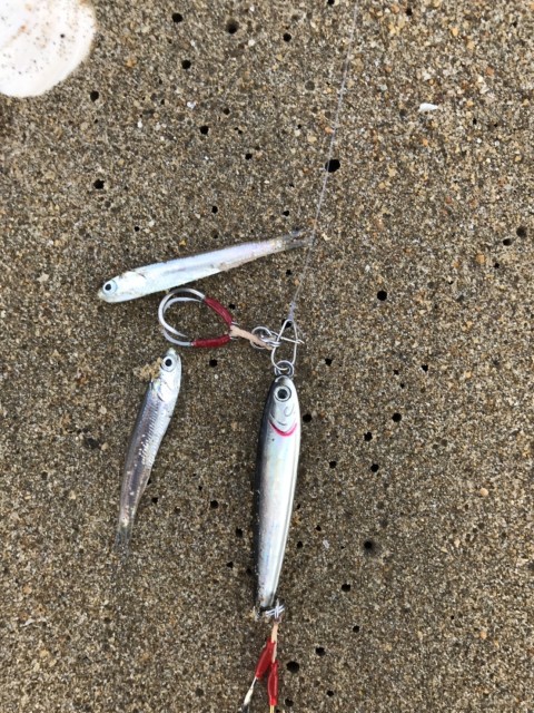 84e43a4d-0f74-4ce5-b9d9-e1126e338ec9