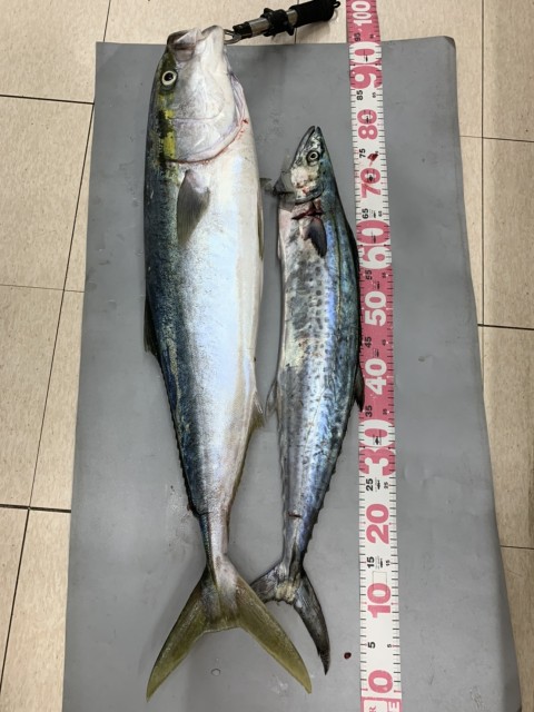 90ef60d5-b397-412f-9c12-8c95d08f74bb