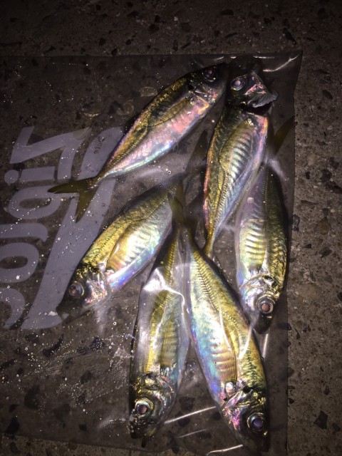 9f4fKcw8yPhemlgOp8DkPm6iTsW1ASqGUt1Js7OnOJI5DIyWiWPoNSGn_8W6cqLChucUcaGiUdnz3HrC-RgDjdYtlmKK2OXYaRxFU9MrVv39EkuilykiHNqj175wmZFD