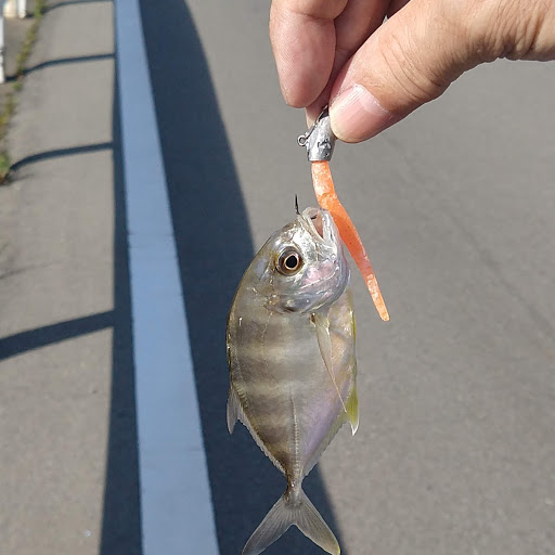 IMG_20191004_150618323