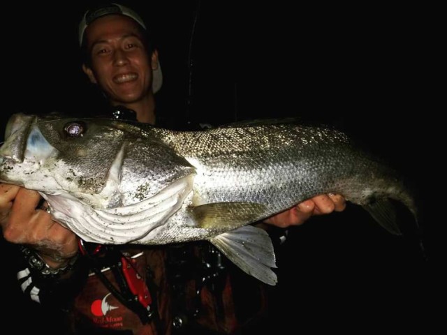 IMG_20191014_051206_331