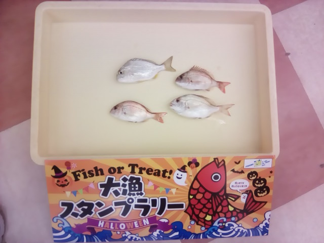 大漁スタンプラリー！