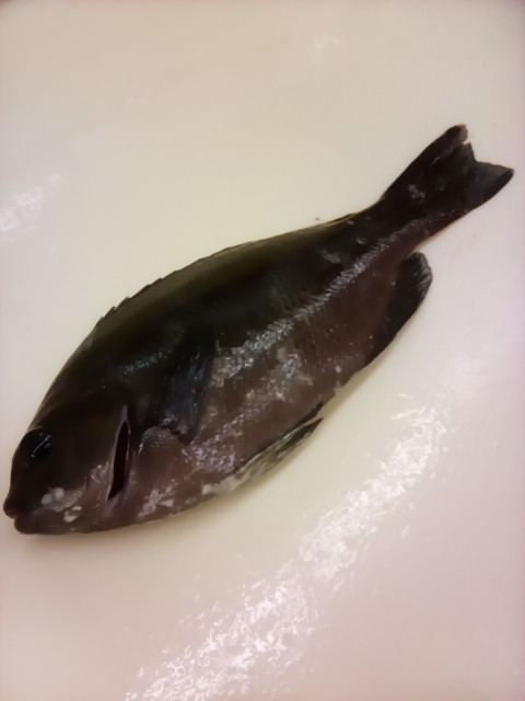 本日2件目！大漁スタンプラリー