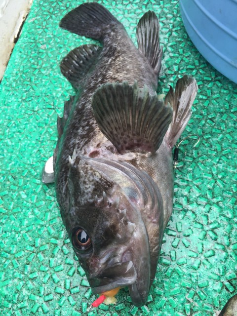 bURcFCht5PPuTflVTzm-3yJpZydkg2nvcrPyn1htEkG6ynDEkZfeGTHfvSobNTgPFg-p8BdaZCR-ndQHLIyJ1I2Y1Di-2_CGBcNKfJOOBTKYd1_75Zr9aP6UuG-_eJYV