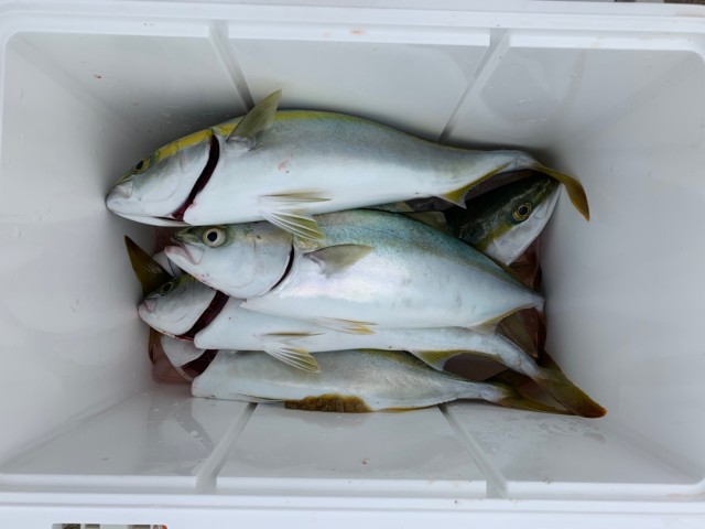 bbba756a-8ae4-4356-8765-f27a9b7a8bca