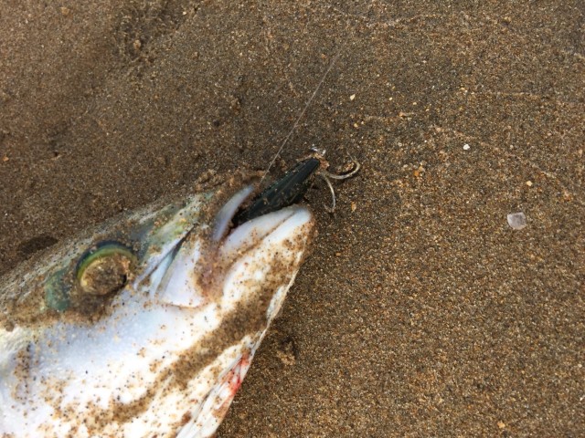 bed6cd81-9e0e-4a5b-ae1b-5fcebe4754bf