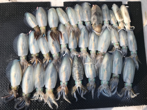 d0224204_15442983 - コピー