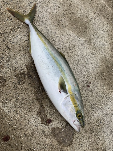 d1a1fa05-f7e0-4989-abb6-0d8eb0b77e8f