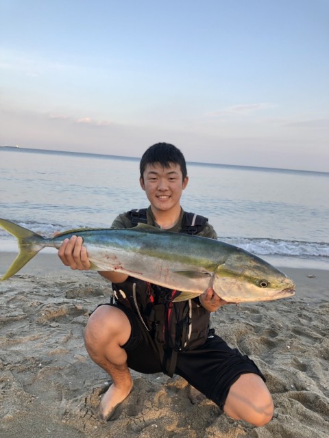 da102e75-189d-47ae-9ccd-ac655e69bcff