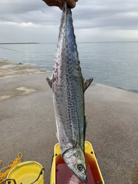 eedaa59e-4c43-4aaa-8dea-8d898d0e5c30