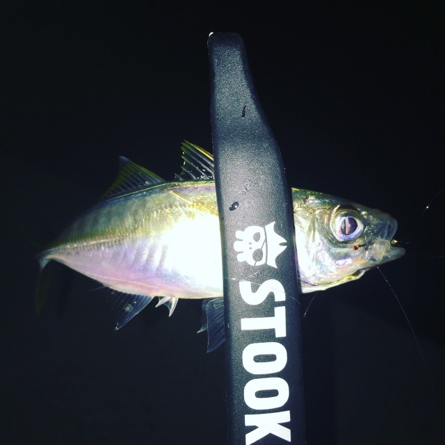 t0QAE6wFQblNc8dek4Vs4eb_kx3q4cYl3SgosdHMFm37I12fEzvh5mykb3nREwtTEhefyAemt_bFXTrc0dDAowjC6fHnjdhq7EE0WsgIPOP1hc7gUTln7RUq5jfFyMWc