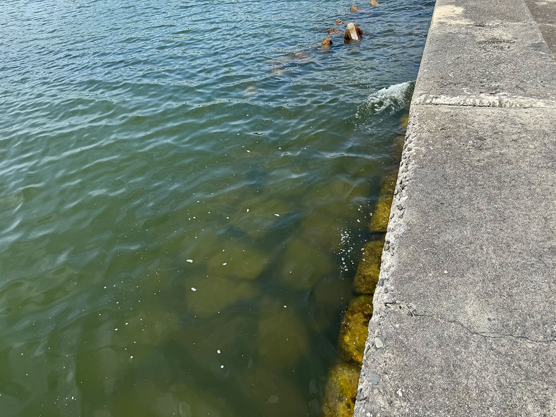 三重県釣り場MAP － 香良洲漁港〈津市〉