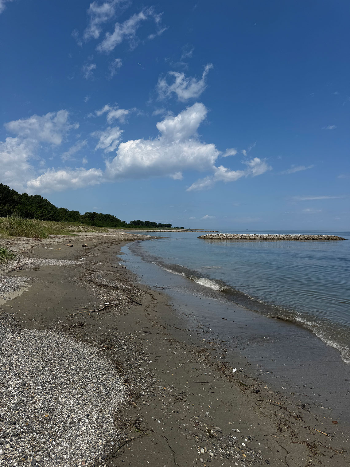 三重県釣り場MAP － 宮川河口（大湊）〈伊勢市〉