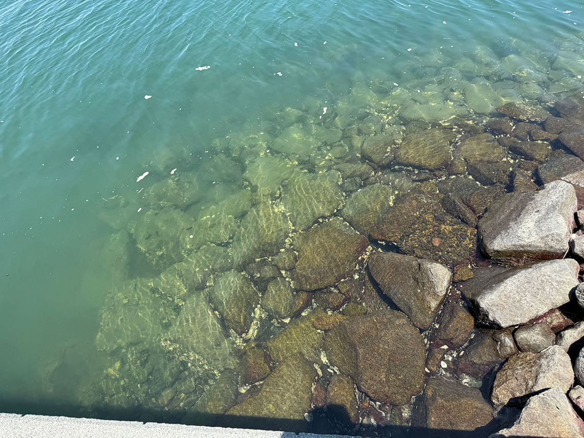 三重県釣り場MAP － 宮川河口（大湊）〈伊勢市〉