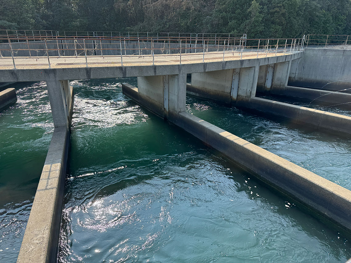 愛知県釣り場MAP - 碧南釣り広場〈三河〉