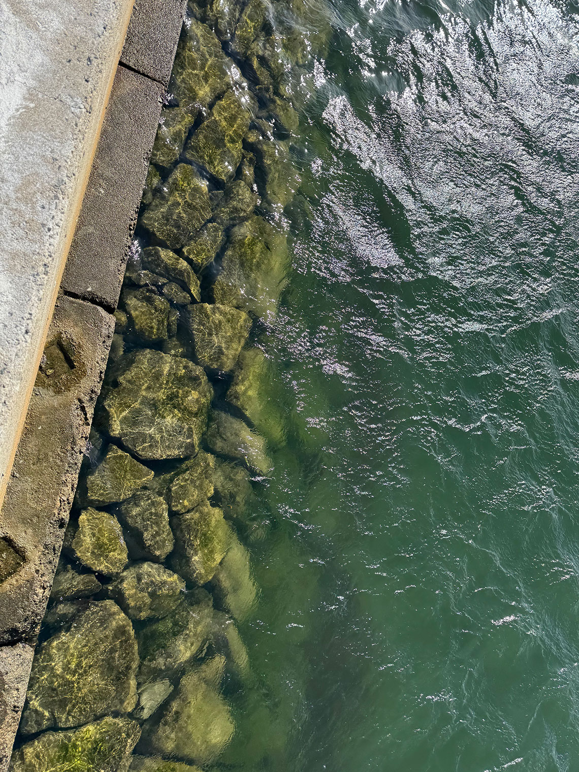 愛知県釣り場MAP - 河和港〈知多半島〉