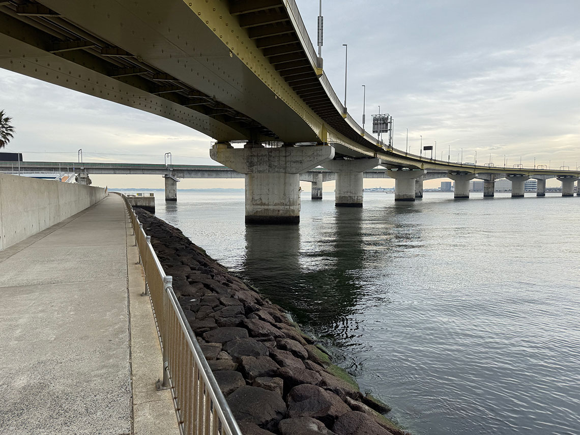 愛知県釣り場MAP － 常滑りんくう釣り護岸〈知多半島〉