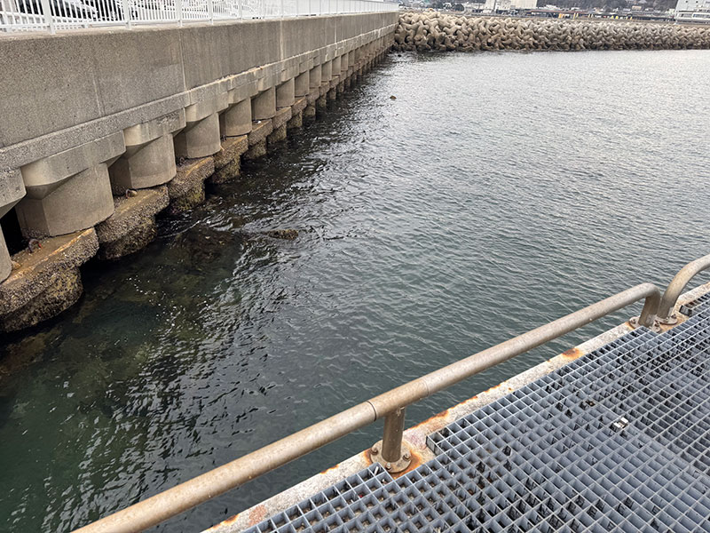 愛知県釣り場MAP － 豊浜釣り桟橋〈知多半島〉