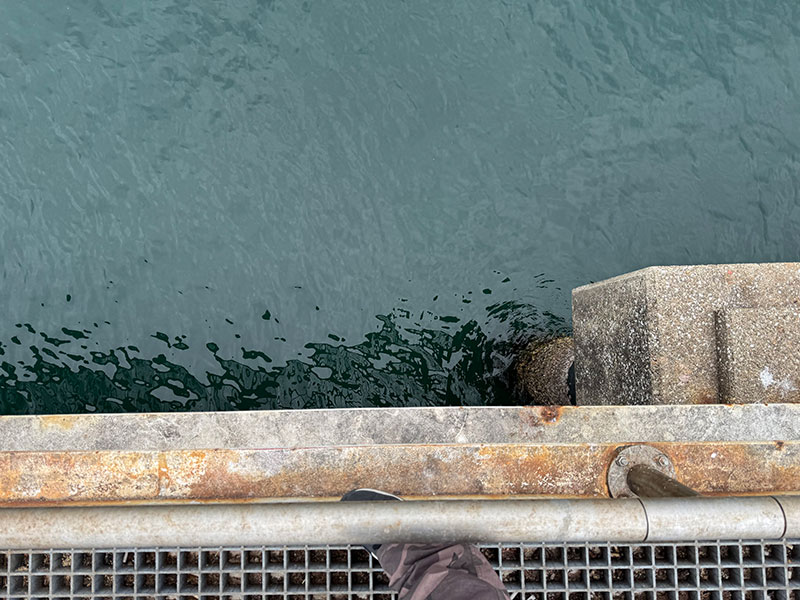 愛知県釣り場MAP － 豊浜釣り桟橋〈知多半島〉