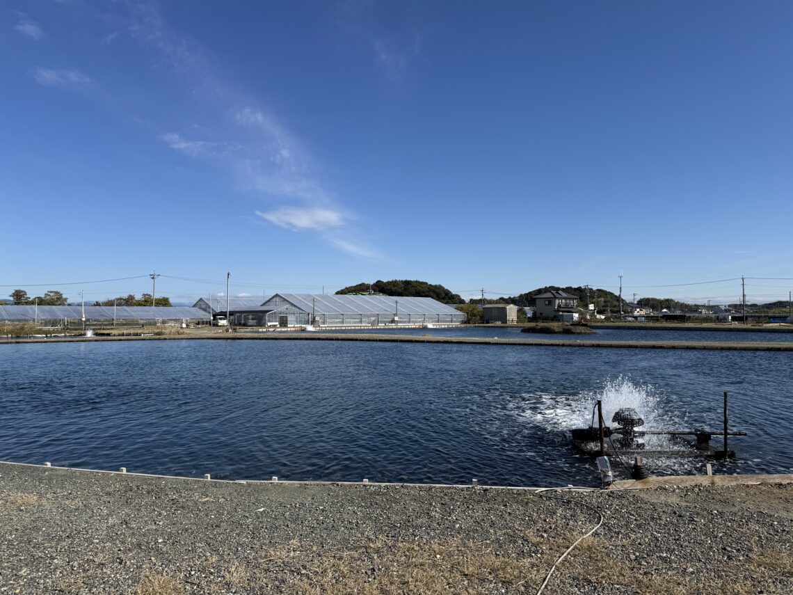 静岡県釣り場MAP － 浜名湖 雄踏総合公園〈浜松市〉