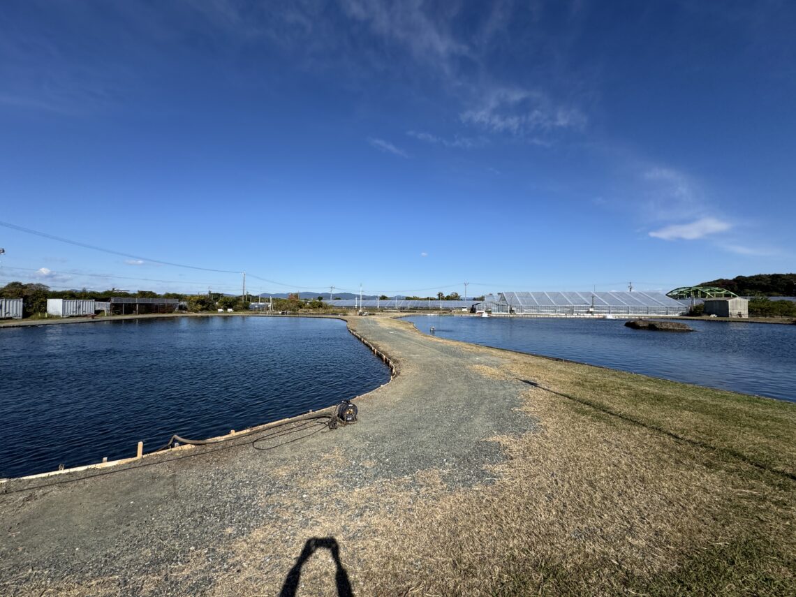 静岡県釣り場MAP － 浜名湖 雄踏総合公園〈浜松市〉