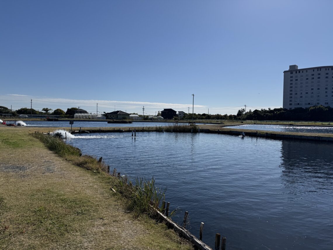 静岡県釣り場MAP － 浜名湖 雄踏総合公園〈浜松市〉