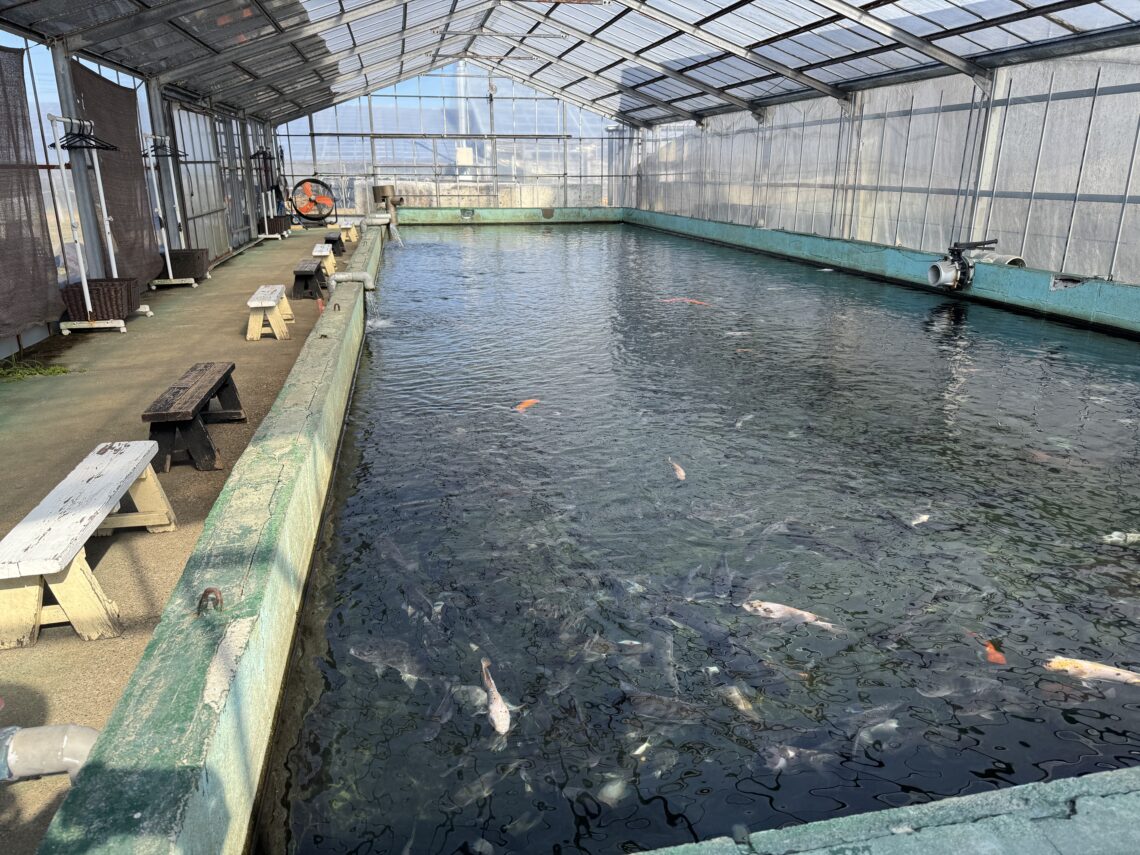 静岡県釣り場MAP － 浜名湖 雄踏総合公園〈浜松市〉