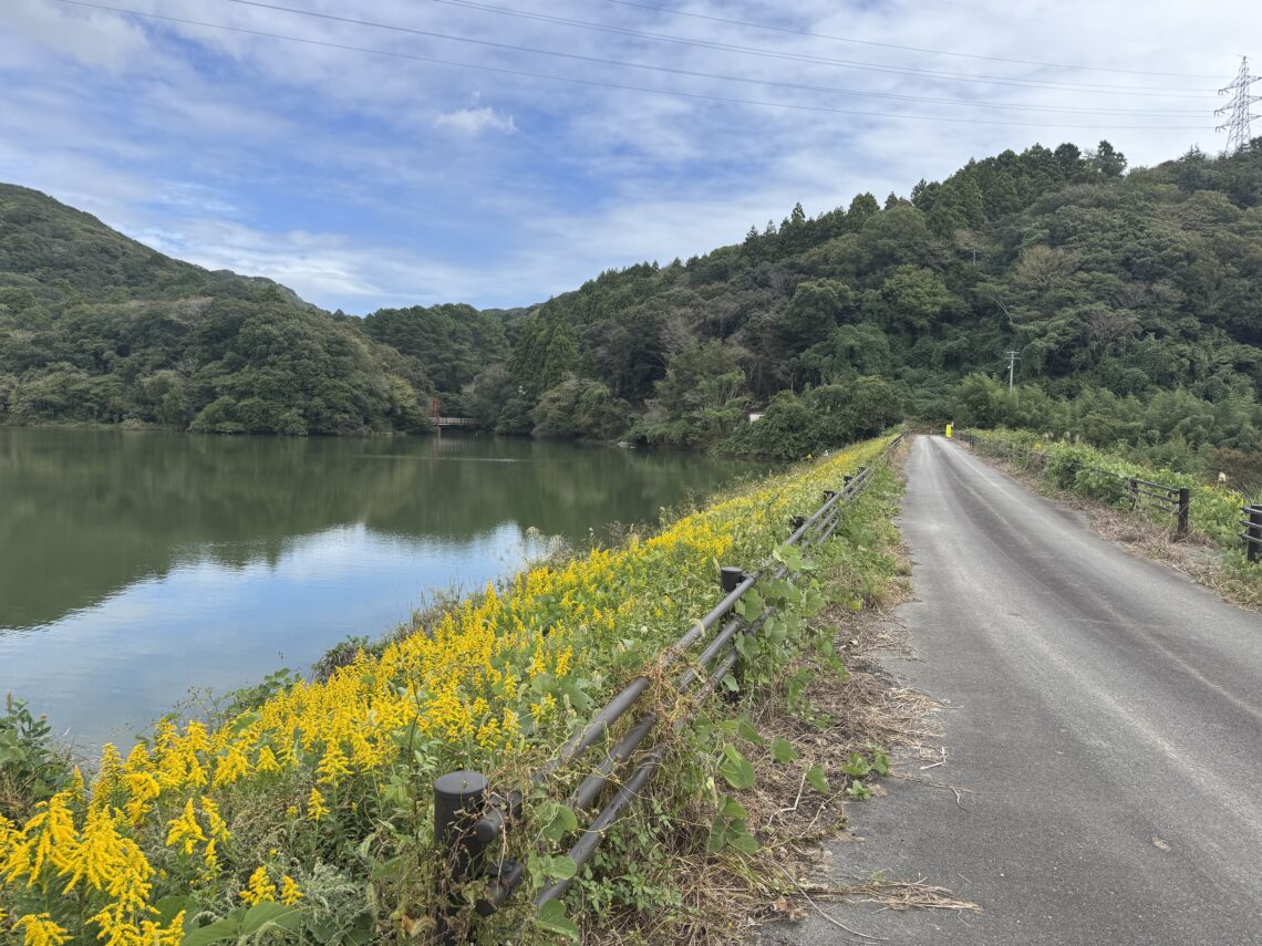 静岡県釣り場MAP － 西大谷ダム〈掛川市〉