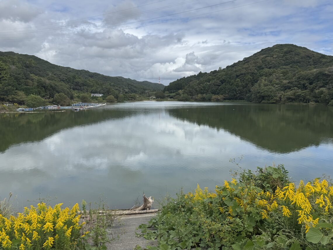 静岡県釣り場MAP － 西大谷ダム〈掛川市〉