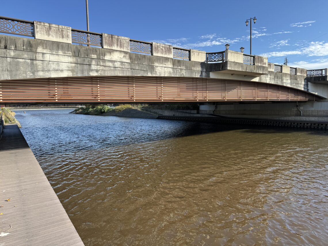 静岡県釣り場MAP － 佐鳴湖 新川放水路〈浜松市〉