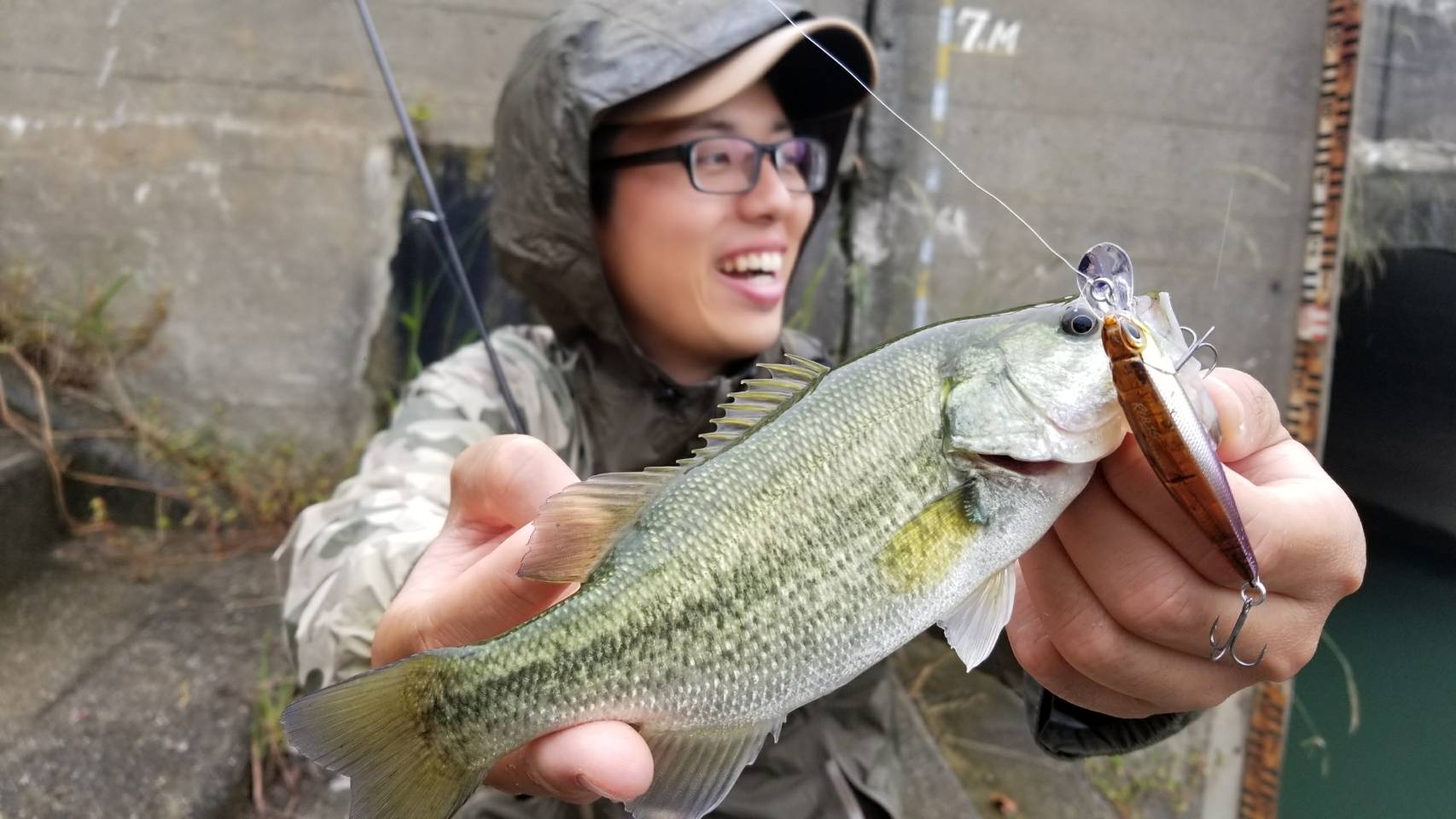 小バスは遊んでくれました。 | フィッシング遊